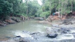 Riam Jajak Buru hanya 3,5 jam saja dari Kota Pontianak, lebih tepatnya di Desa Gombang, Kecamatan Sengah Temila, Kabupaten Landak, Riam Jajak Buru menawarkan keindahan alam yang memukau dan suasana yang tenang.