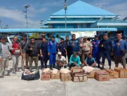 Ribuan Telur Penyu Kepri Diselundupkan ke Sambas