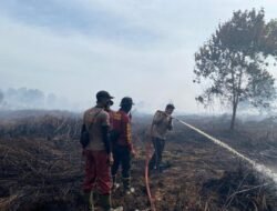 Kualitas Udara Kubu Raya Zona Kuning