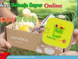 Inilah Aplikasi Belanja Sayur Online