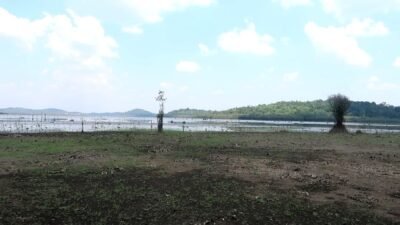 Pemandangan Danau Laet di Kabupaten Sanggau saat musim kemarau. Namun tidak kehilangan pesonanya untuk dikunjungi sebagai salah satu pilihan destinasi wisata