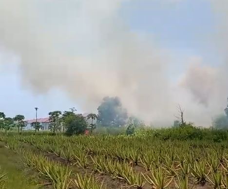 Pemkab Kubu Raya telah mengeluarkan regulasi yang mewajibkan kepada seluruh developer atau pengembang perumahan untuk membuat embung guna mengantisipasi ancaman karhutla yang terjadi dekat perumahan. Foto: dok