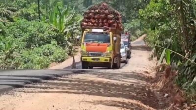 Kendaraan yang overload dengan kelapa sawit melewati jalan Semuntai - Sedukul yang saat ini masih dalam pengerjaan