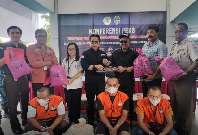 Jaksa Penuntut Umum (JPU) menuntut dua terdakwa kasus perdagangan 20 kilogram sisik trenggiling dengan hukuman penjara 2 tahun untuk FAP dan 2,5 tahun untuk MR dan denda Rp43 juta atau subsider 6 bulan kurungan penjara saat sidang pada Selasa (10/10). Terdakwa ditangkap oleh Tim Gakkum KLHK pada 7 Juni 2023 lalu