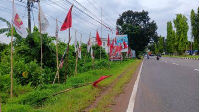 Para peserta Pemilu 2024 yakni partai politik termasuk para caleg dan caleg DPD ternyata telah melanggar aturan kampanye dengan memasang ratusan Alat Peraga Kampanye (APK) berupa baliho, spanduk dan bendera. Foto: dian