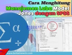 Cara Menghitung Manajemen Laba Model Jones dengan SPSS