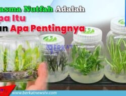 Plasma Nutfah Adalah: Apa Itu dan Apa Pentingnya?