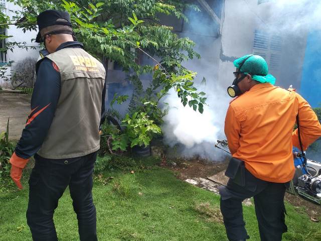 Plt Kepala Pelaksana BPBD Sanggau Budi Darmawan saat melakukan fogging bersama anggotanya. Hal ini dikarenakan hingga per 24 November 2023, penderita DBD di Sanggau bertambah menjadi 348 orang. Dari 348 orang penderita itu, 12 orang diantaranya meninggal dunia.