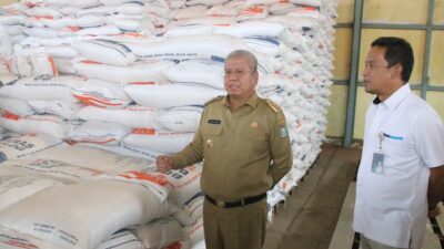 Pj Gubernur Kalbar Harrison didampingi Kepala Bulog Kalbar meninjau stok beras di gudang Bulog Kalbar. Foto: ian