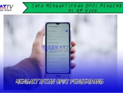 Cara Mengaktifkan Opsi Pengembang di HP Vivo