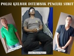 Polisi Kalbar Ditembak Pencuri Sawit. Ini Kronologi Kejadian