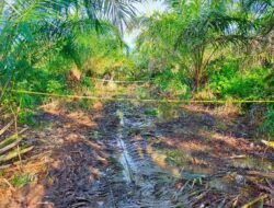 Mayat Udin Mengalami Mumifikasi di Perkebunan Sawit PT MAR