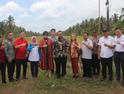 Cina Investasi Pertanian di Kalbar