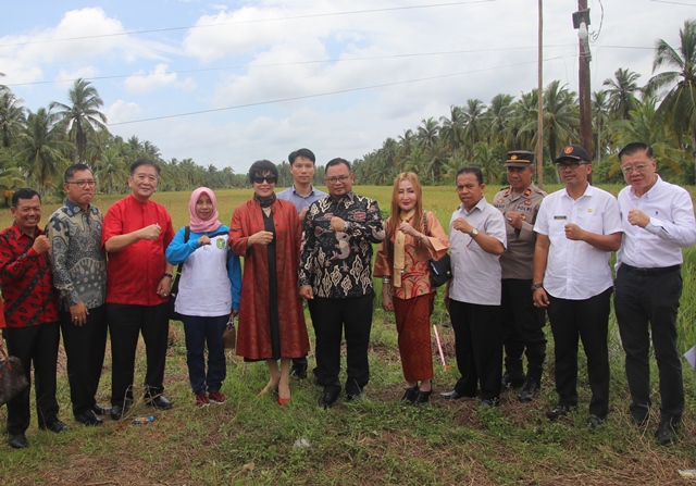 Cina berinvestasi pertanian di Kalbar. Pj Sekda Kalbar Bari bersama Ketua Perusahaan Danong, Madam Wang Zhihua saat launching Proyek Ketahanan Pangan di Mempawah, Selasa (12/3). Foto: tmB