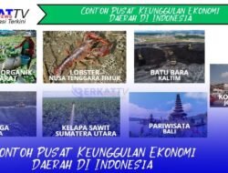 11 Contoh Pusat Keunggulan Ekonomi Daerah Indonesia