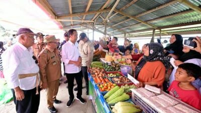 Kenaikan Harga di Pasar Sekadau, Jokowi Sebut Masih Wajar