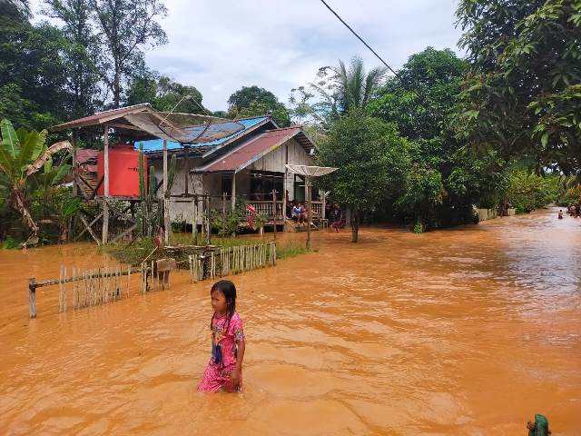 Indeks nilai Kualitas Lingkungan Hidup Kalbar tahun 2020 - 2023 terjadi peningkatan dari 70,07 persen menjadi 73,62 persen dan mendapatkan kategori baik. Namun, Indeks KLH ini tidak sebanding dengan permasalahan lingkungan yang terjadi yakni banyaknya bencana alam yang melanda Kalbar setiap tahun seperti banjir. Foto: tmB