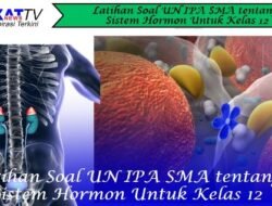 Latihan Soal UN IPA SMA tentang Sistem Hormon Untuk Kelas 12