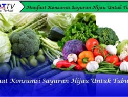 Manfaat Konsumsi Sayuran Hijau Untuk Tubuh