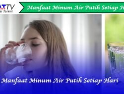 Manfaat Minum Air Putih Setiap Hari