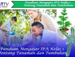 Panduan Mengajar IPA Kelas 1 Tentang Tanaman dan Tumbuhan
