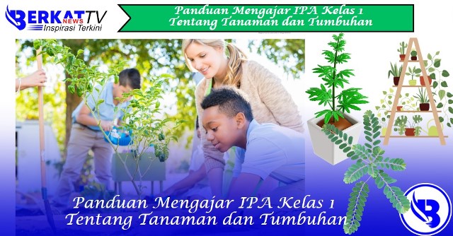 Panduan Mengajar IPA Kelas 1 Tentang Tanaman dan Tumbuhan