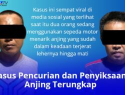 Kasus Pencurian dan Penyiksaan Anjing Terungkap. Dua Orang Tersangka Ditangkap