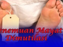 Pontianak Geger Penemuan Mayat Dimutilasi