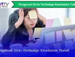 Pengaruh Stres Terhadap Kesehatan Tubuh