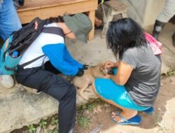 Hewan Penular Rabies Kian Meresahkan, Masyarakat Diminta Kooperatif