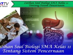 Latihan Soal Biologi SMA Kelas 11 Tentang Sistem Pencernaan