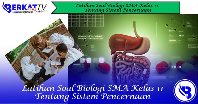 Latihan Soal Biologi SMA Kelas 11 Tentang Sistem Pencernaan