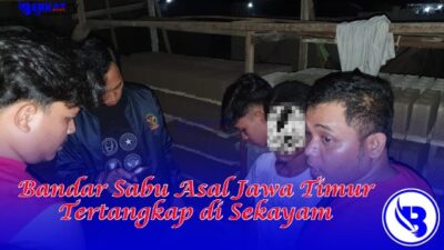 Seorang bandar sabu asal Lumajang Jawa Timur berinisial SA (43) tertangkap di Sekayam oleh personel Polsek Sekayam pada Selasa (11/6) di dalam kamar sebuah penginapan di Balai Karangan. Foto: ist/pek