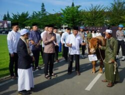 Polda Kalbar Salurkan Hewan Kurban 135 Sapi dan 134 Kambing