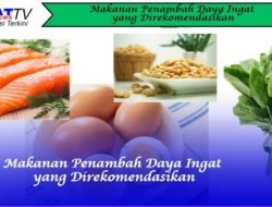 Makanan Penambah Daya Ingat yang Direkomendasikan