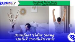 Manfaat Tidur Siang Untuk Produktivitas