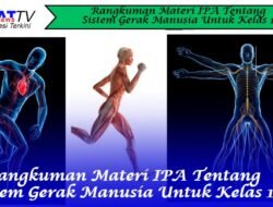 Rangkuman Materi IPA Tentang Sistem Gerak Manusia Untuk Kelas 1