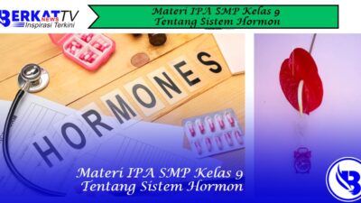 Materi IPA SMP Kelas 9 Tentang Sistem Hormon