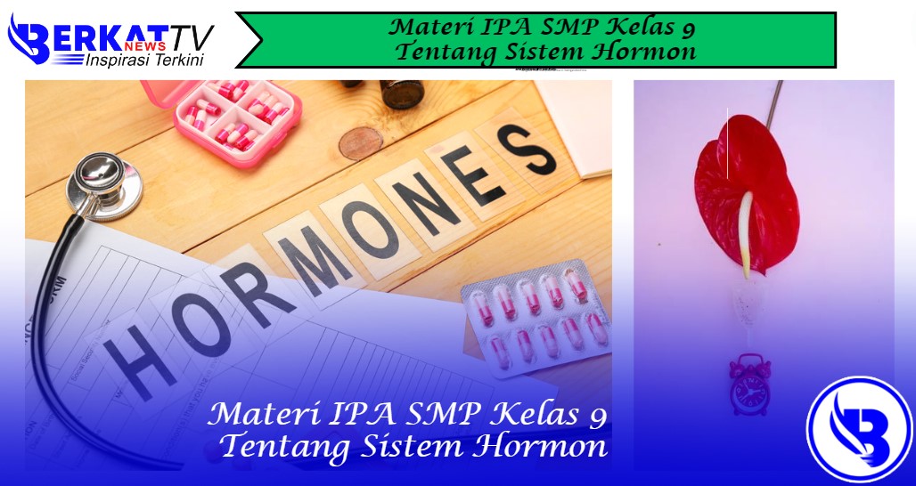 Materi IPA SMP Kelas 9 Tentang Sistem Hormon