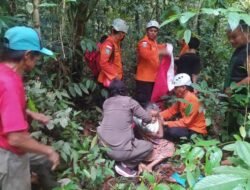 Tujuh Hari Hilang di Hutan, Nenek 78 Tahun Berhasil Ditemukan