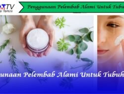 Penggunaan Pelembap Alami Untuk Tubuh