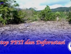 Mengembalikan Keseimbangan Alam, Setop PETI dan Deforestasi!