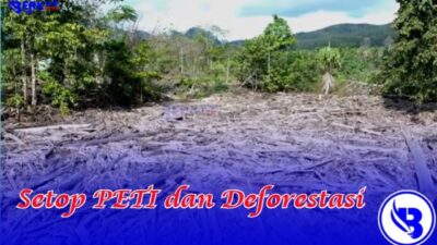 Mengembalikan Keseimbangan Alam, Setop PETI dan Deforestasi!