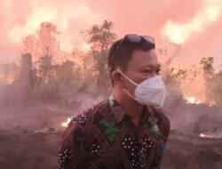 Belasan Hektare Lahan Terbakar. Api Dekati Rumah Warga, Damkar Kesulitan Air