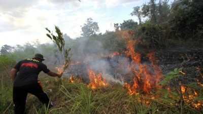 Satgassus Diintruksikan Patroli Cegah Karhutla , Sengaja Bakar Lahan Dipidana