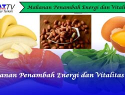 Makanan Penambah Energi dan Vitalitas