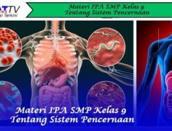 Materi IPA SMP Kelas 9 Tentang Sistem Pencernaan