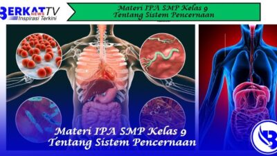 Materi IPA SMP Kelas 9 Tentang Sistem Pencernaan