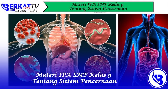 Materi IPA SMP Kelas 9 Tentang Sistem Pencernaan