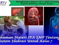 Rangkuman Materi IPA SMP Tentang Sistem Ekskresi Untuk Kelas 7